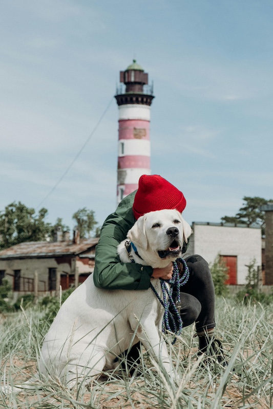 A person hugging their dog in a grassy field near an abandoned lighthouse, symbolizing resilience and new beginnings.